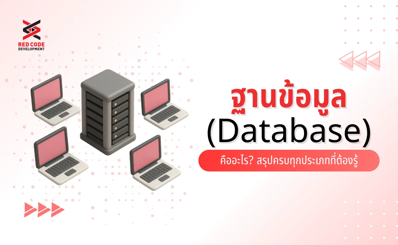 ฐานข้อมูล (Database) คืออะไร? สรุปครบทุกประเภทที่ต้องรู้ - RED CODE ...