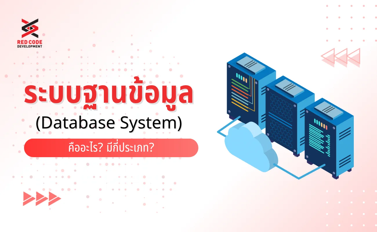 ระบบฐานข้อมูล (Database System) คืออะไร? มีกี่ประเภท? - RED CODE ...